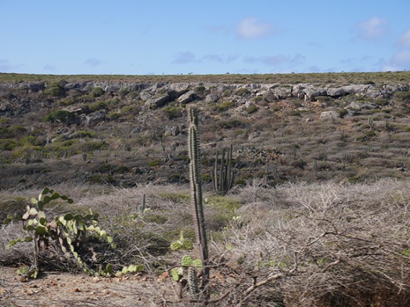 P1330268