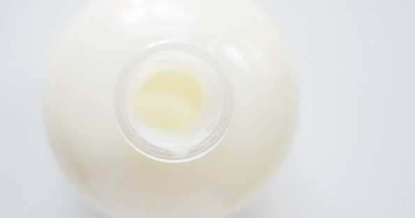 Philosophy Purity Made Simple