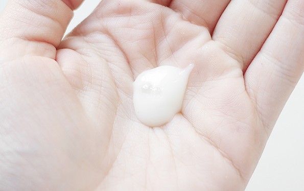 Philosophy Purity Made Simple