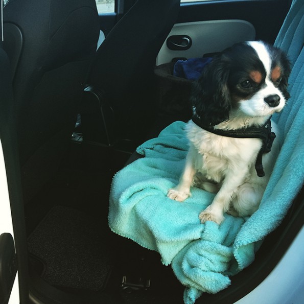 2015-02-08 16.58.39-1