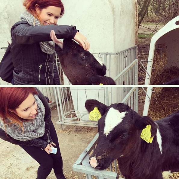 Schermafbeelding 2015-02-15 om 19.35.57