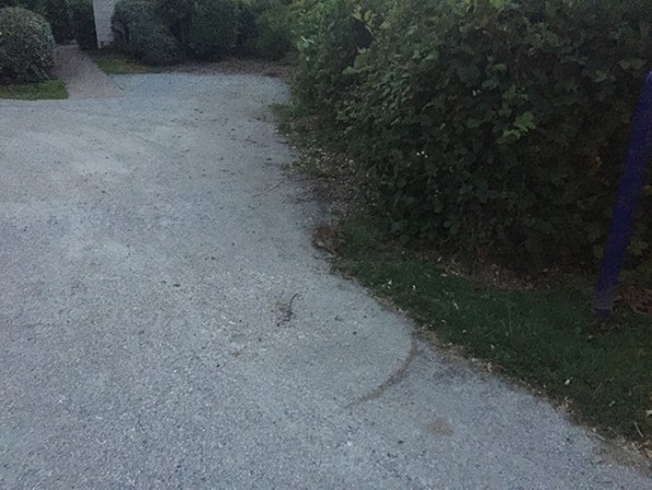 2015-07-04 22.49.52