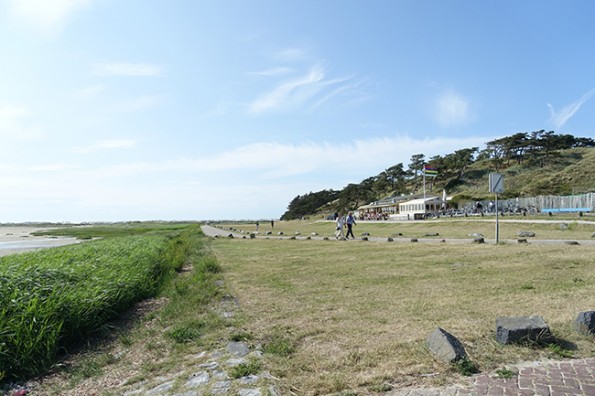 DSC00693