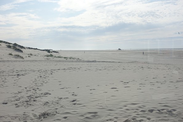DSC00710