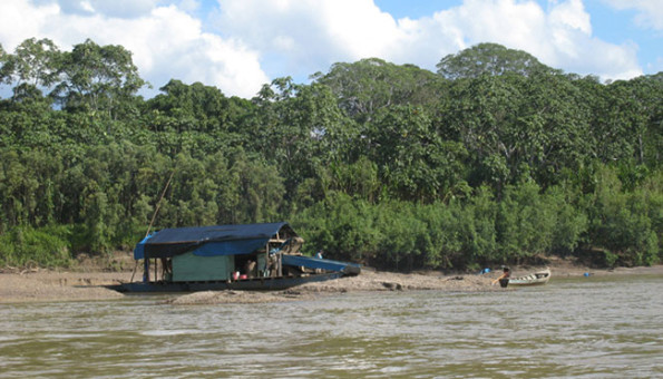 Brazil_Nut_IMG4543_INPERCT035
