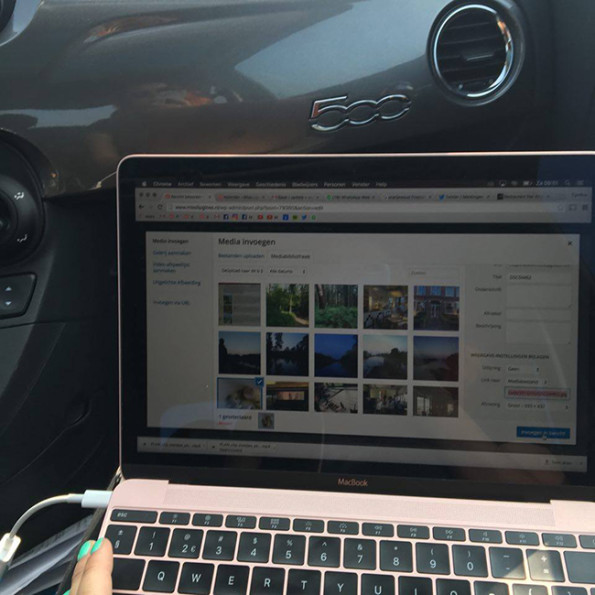 13318542_10156870532835447_2057588639_n