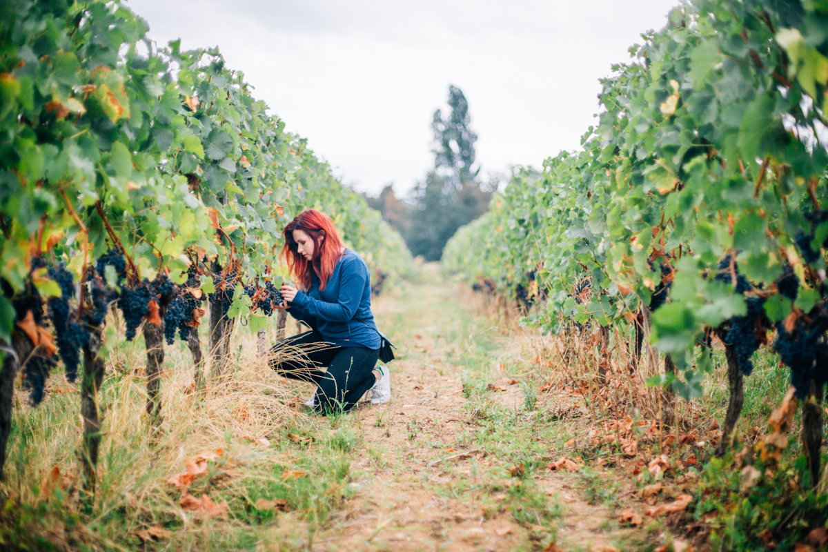 presstrip-bordeaux-misslipgloss-182