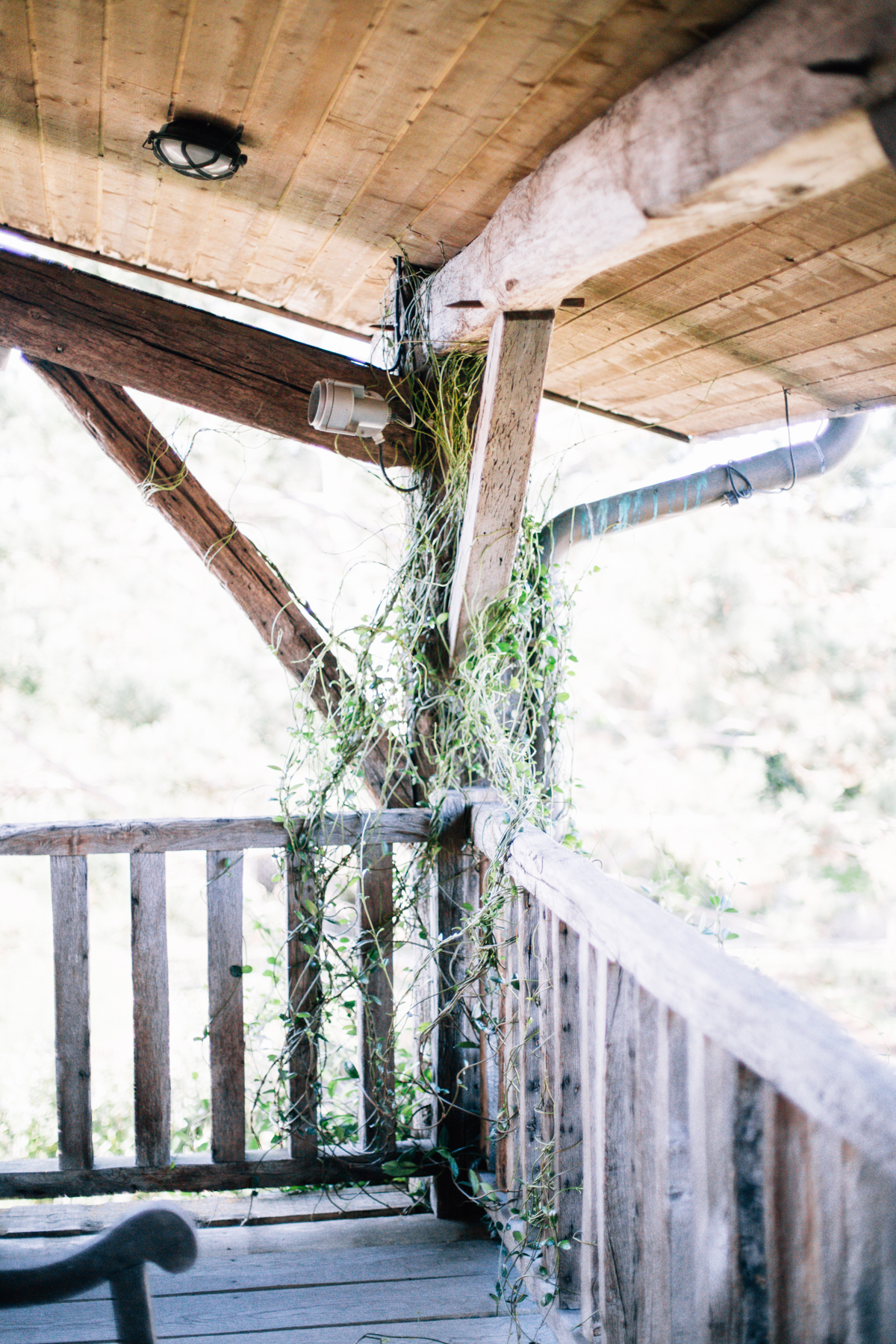 presstrip-bordeaux-misslipgloss-258