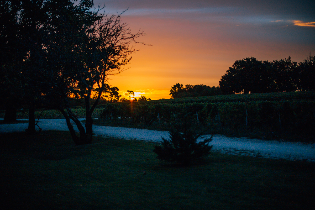 presstrip-bordeaux-misslipgloss-294